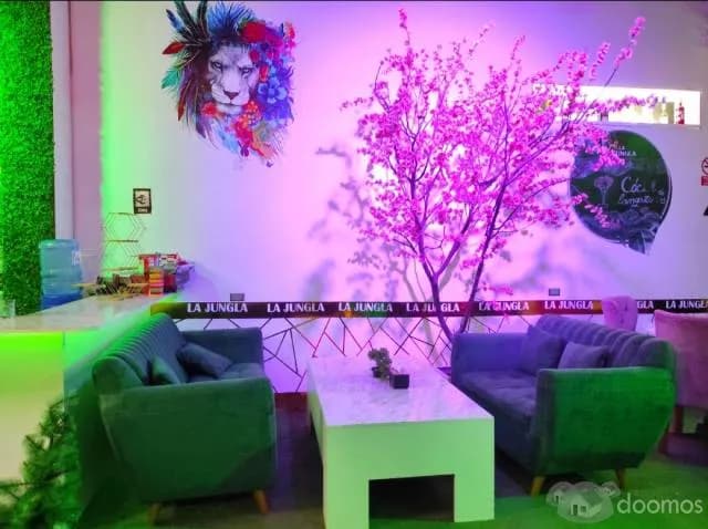 TRASPASO RESTAURANTE-RESTOBAR - 2