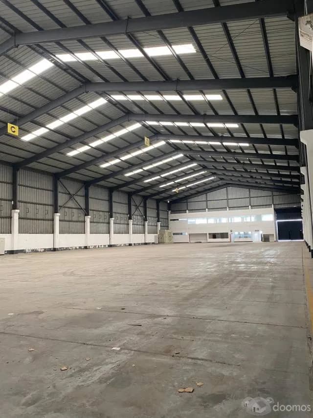 3,000m2-ALQUILER DE BODEGAS INDUSTRIALES EN LURIN-CON 12ML ALT-EN COMPLEJO INDUSTRIAL-TODO LOSA Y CON OFICINAS - 1