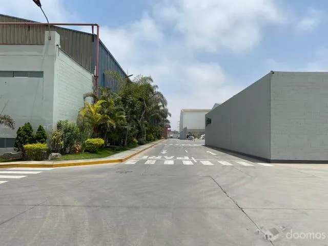 3,000m2-ALQUILER DE BODEGAS INDUSTRIALES EN LURIN-CON 12ML ALT-EN COMPLEJO INDUSTRIAL-TODO LOSA Y CON OFICINAS - 2