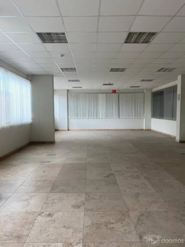 2,000M2-VENDO LOCAL INDUSTRIAL CON ALMACEN AMPLIO Y OFICINAS-EN AV. EUCALIPTOS, LAS PRADERAS DE LURIN-I2 - 2
