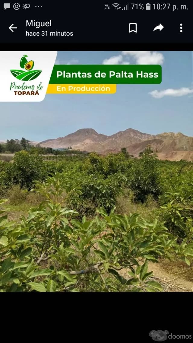 Terrenos para casa de campo - 2