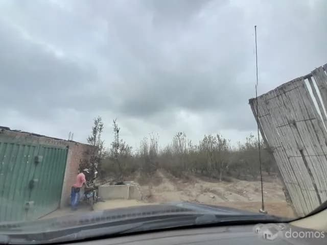 SE VENDE TERRENO DE 5 HAS. SECTOR LAS PALMAS - CHINCHA BAJA - 1