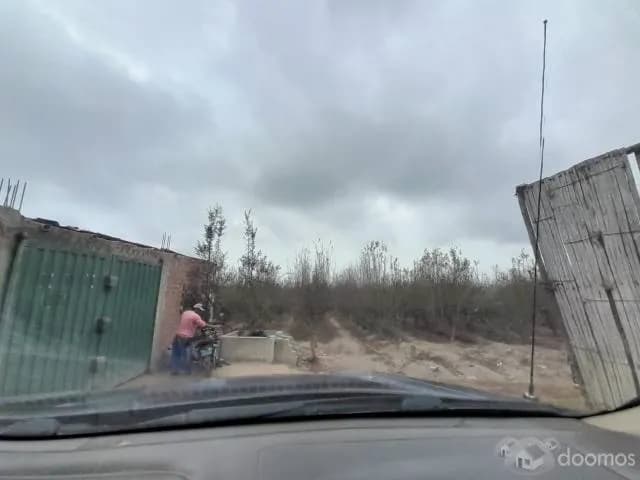 SE VENDE TERRENO DE 5 HAS. SECTOR LAS PALMAS - CHINCHA BAJA - 2