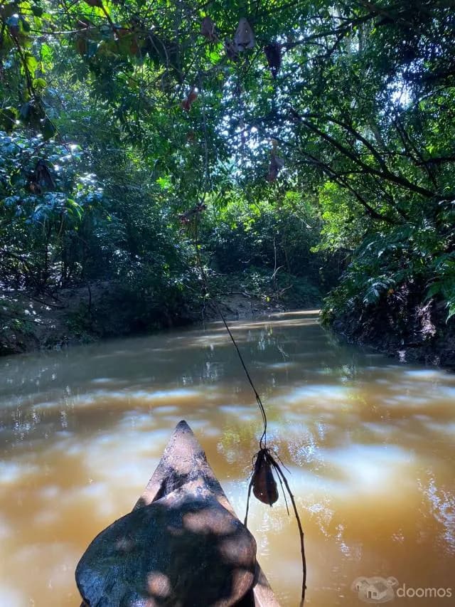 REMATE DE LOTES EN LA SELVA - 2