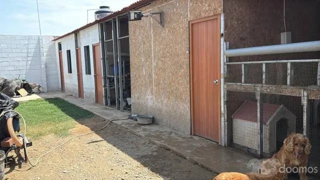HUANCHACO TERRENO A LA VENTA CERCADO DE 200MTRS - 2