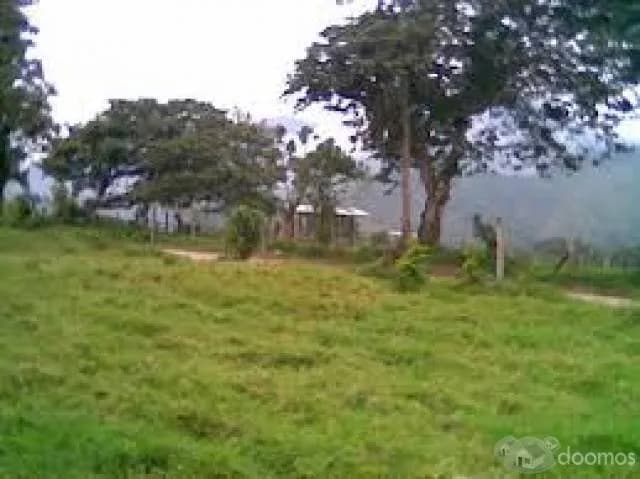 Fundo La Isla del Gallo-Entre dos Rios de Ensueño - 1