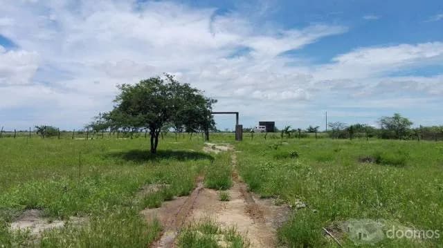 TERRENO DE 50000 M2 - 2