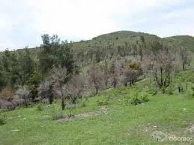 VENDO TERRENO SUPER PRECIO - 1