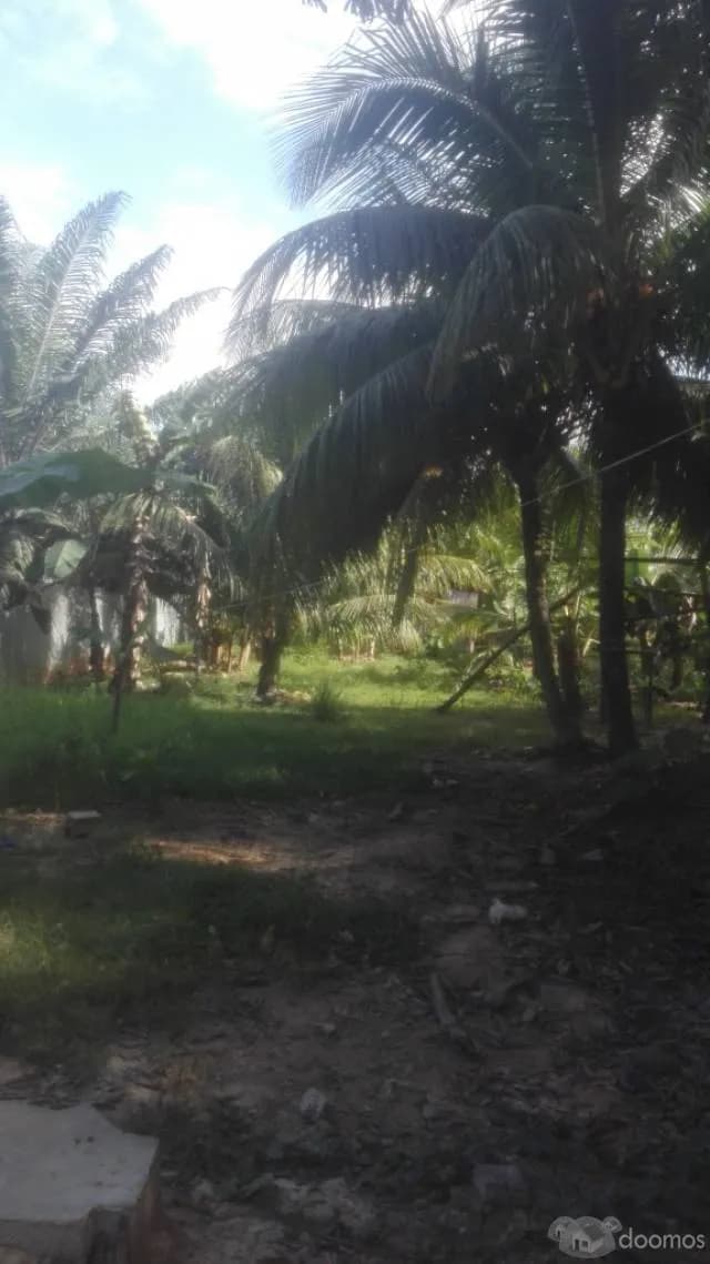 VENTA DE TERRENO!! - 2