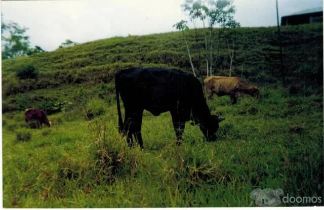 venta de terreno agricola - 2