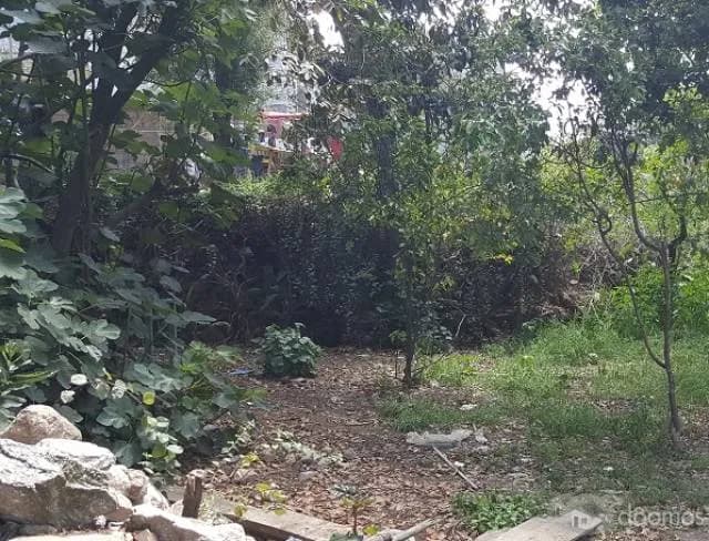 Venta de Terreno en Piquip - Yungay - 2