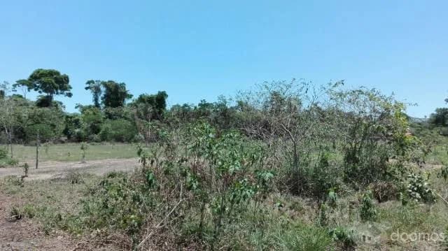 Te gustaría poner un negocio ? esta es tu oportunidad Terreno en Puerto maldonado muy buena ubicación - 2