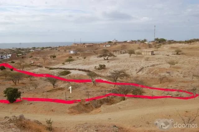 Amplio terreno con espectacular vista - 1