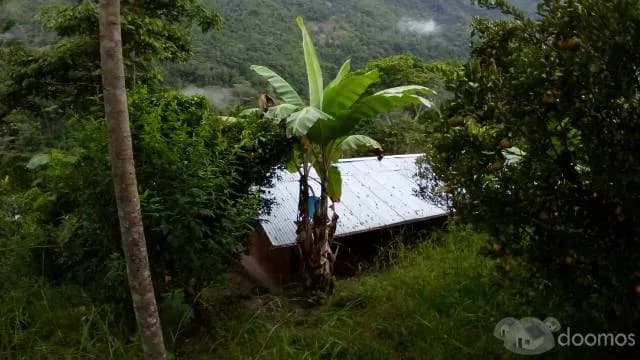 VENTA DE TERRENO AGRICOLA - 1