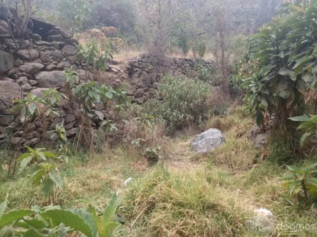 VENDO TERRENO EN OLLANTAYTAMBO DE 604M2 - 2