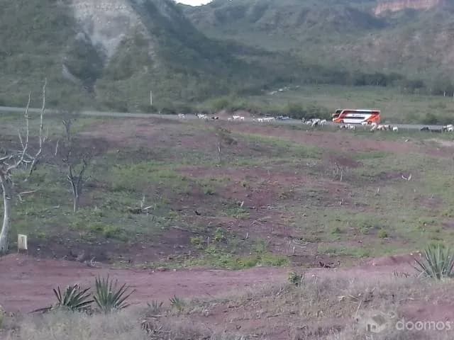 ATENCION: ONG’s – UNIVERSIDADES, INSTITUCIONES; EMPRESAS, ETC - 2