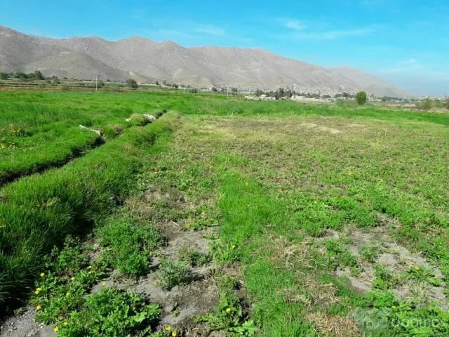 Vendo Terreno 4,508.00 m2 Las Paredes Socabaya - 1