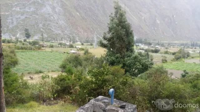 EN VENTA TERRENO EN SECTOR PISCACUCHO - OLLANTAYTAMBO - 2