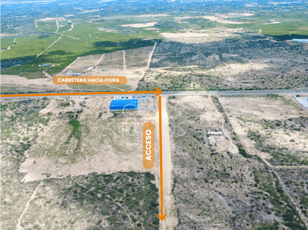 Vendo Terreno de 9.85 Hectáreas en Sullana - 1