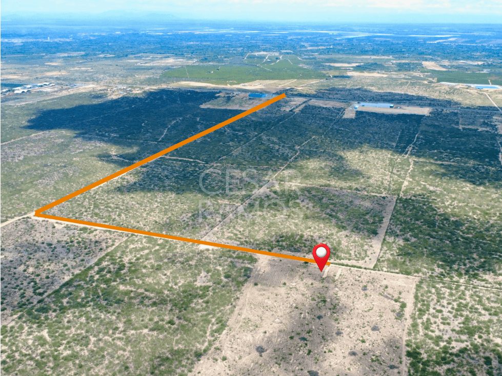 Vendo Terreno de 9.85 Hectáreas en Sullana - 2