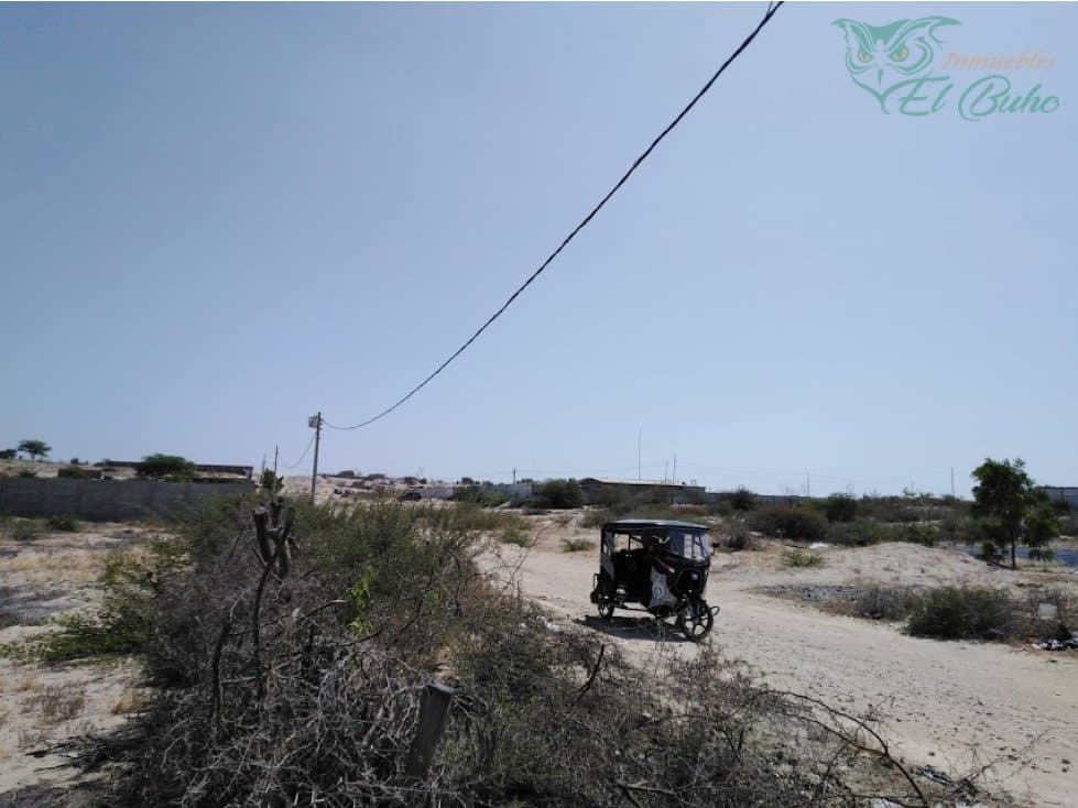 VENDO TERRENO EN PAMPAS DE CASTILLA, PIURA - 2