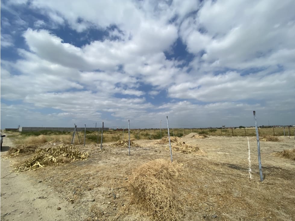 TERRENOS EN VENTA EN VISTA ALEGRE - 2