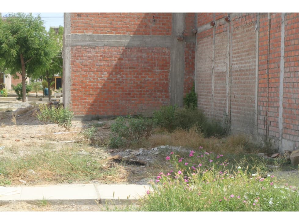 VENDO TERRENO EN LAS CASUARINAS I - 2