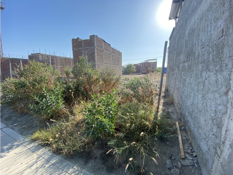 VENDO TERRENO EN CASUARINAS PORTALES - 2