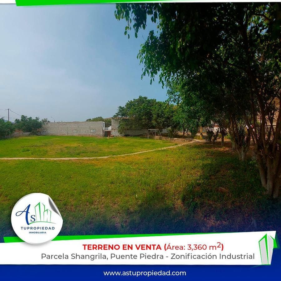 VENTA TERRENO SHANGRILLA PUENTE PIEDRA - 2
