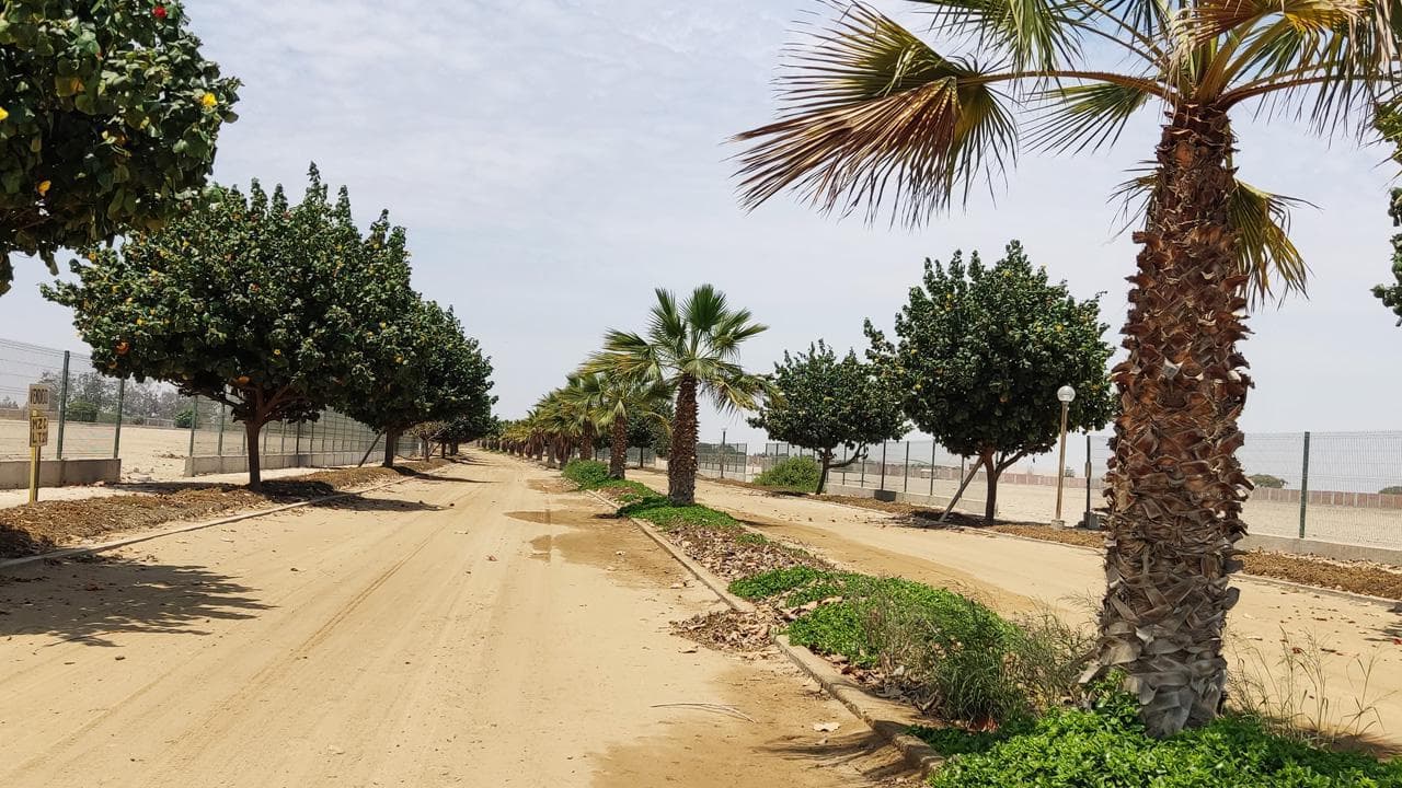 Entidad financiera LIQUIDA - Visita y contraoferta el valor de tasación - 2