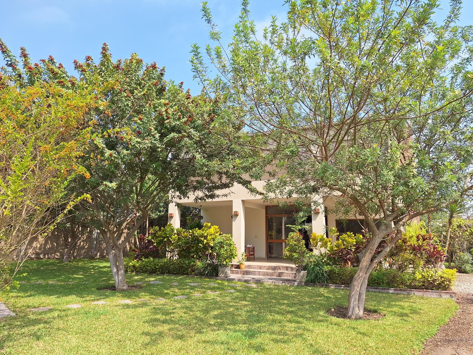 Venta de casa de campo: Chincha- 4,600 m2 - 2