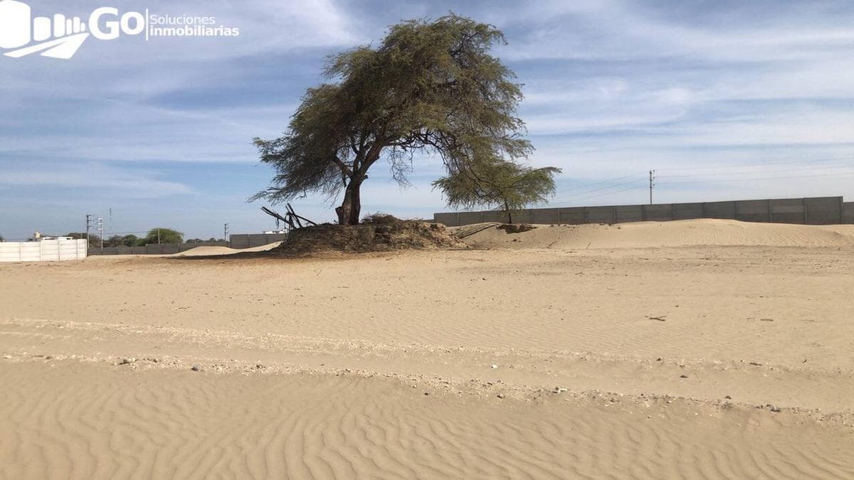 Lotes de terreno de 200m2. Los Ejidos de Huan. Piura. - 2