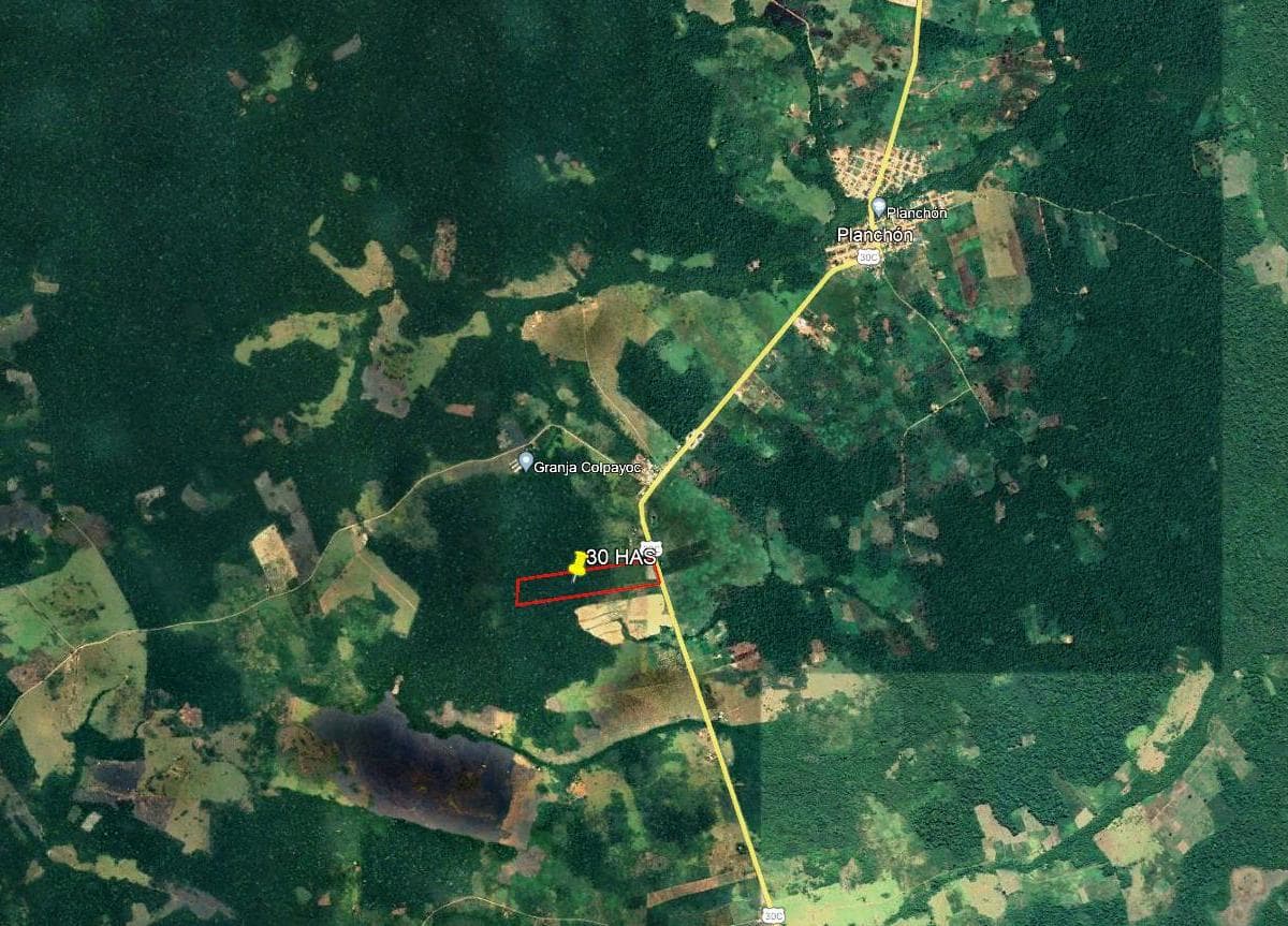 ¡TU OPORTUNIDAD DE ORO EN MADRE DE DIOS: A UN PASO DEL PLANCHON! - 2