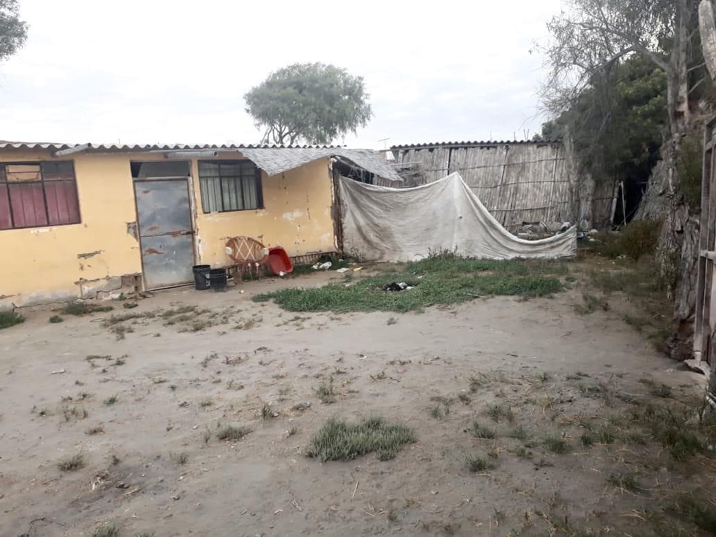 Terreno - Samuel Pastor - 2