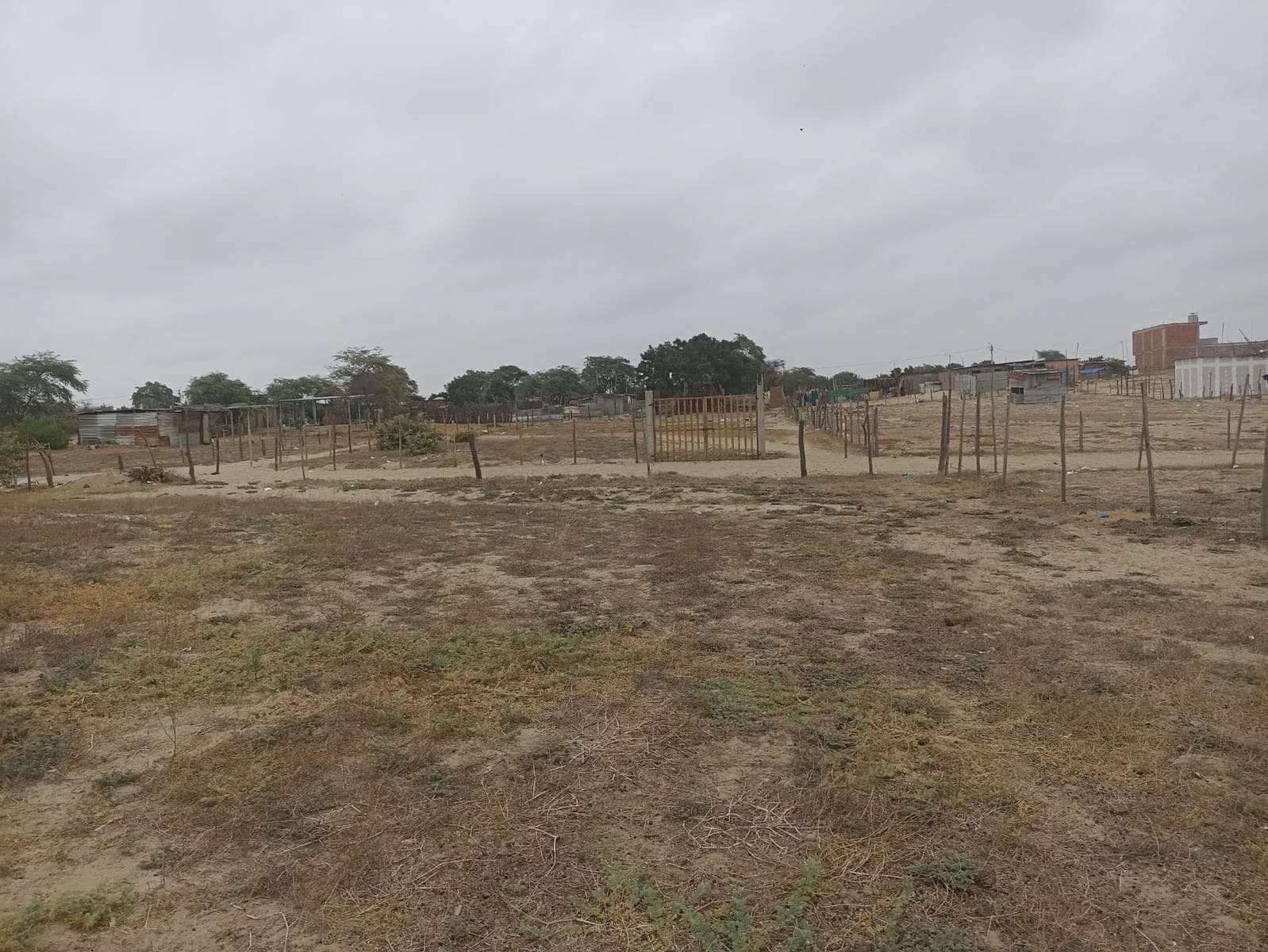 Vendo Terreno en Los Ejidos de Huan, Piura (A 100 mts de la carretera Los Ejidos) - 1