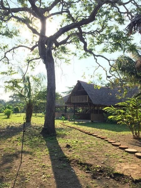 Vendo Albergue Eco Lodge en Reserva Tambopata, Puerto Maldonado, Madre de Dios - 1