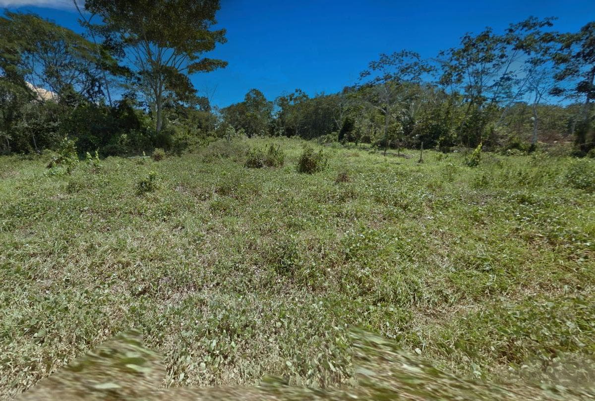 TAMBOPATA TE ESPERA: TERRENO CON ACCESO Y PRECIO INMEJORABLE - 1