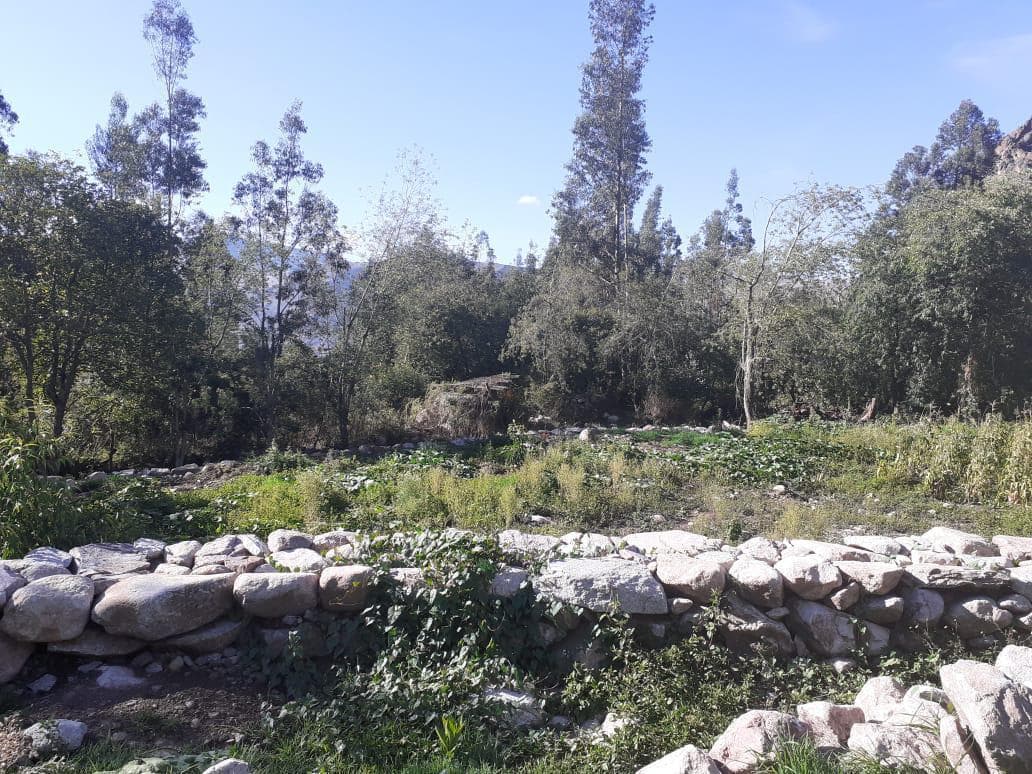 Vendo Hermoso Terreno en Calle Pumahuanca, Urubamba, Valle Sagrado, Cusco - 2