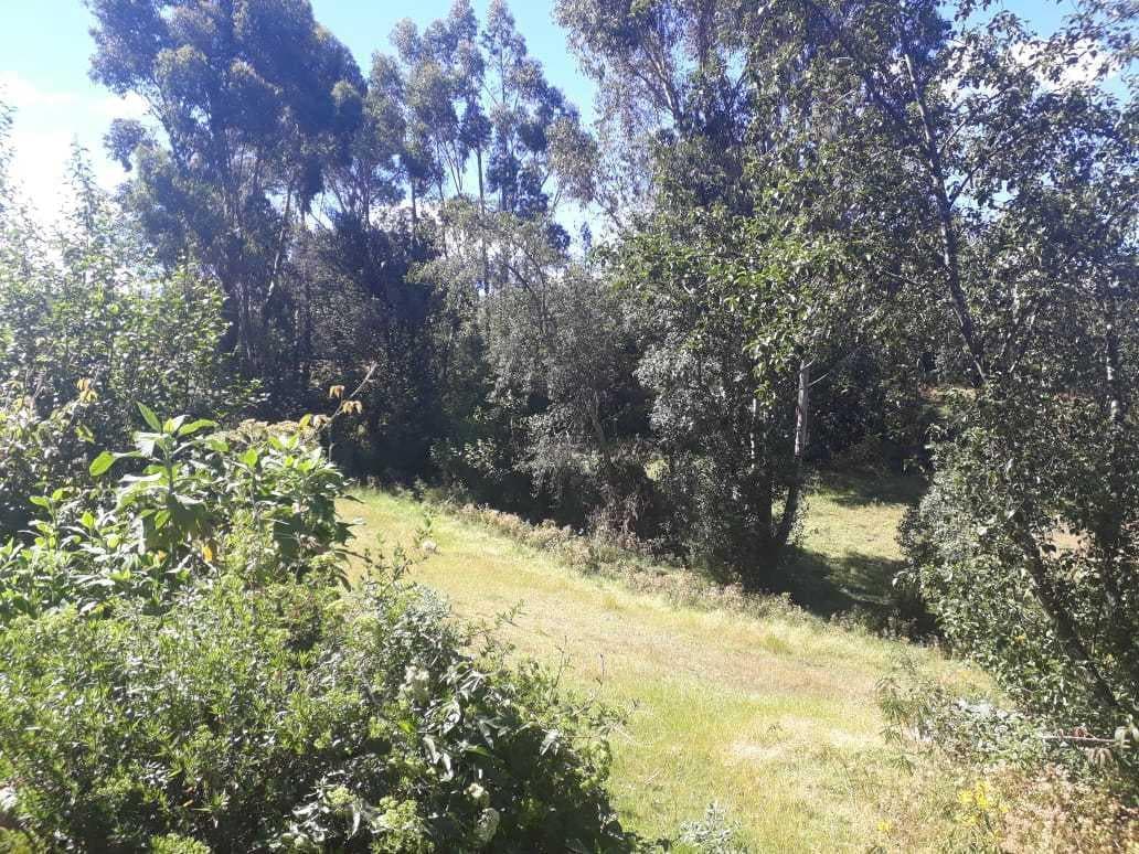 Se vende terreno urbano en Shinua Cancha, Independencia, Provincia de Huaraz - 2