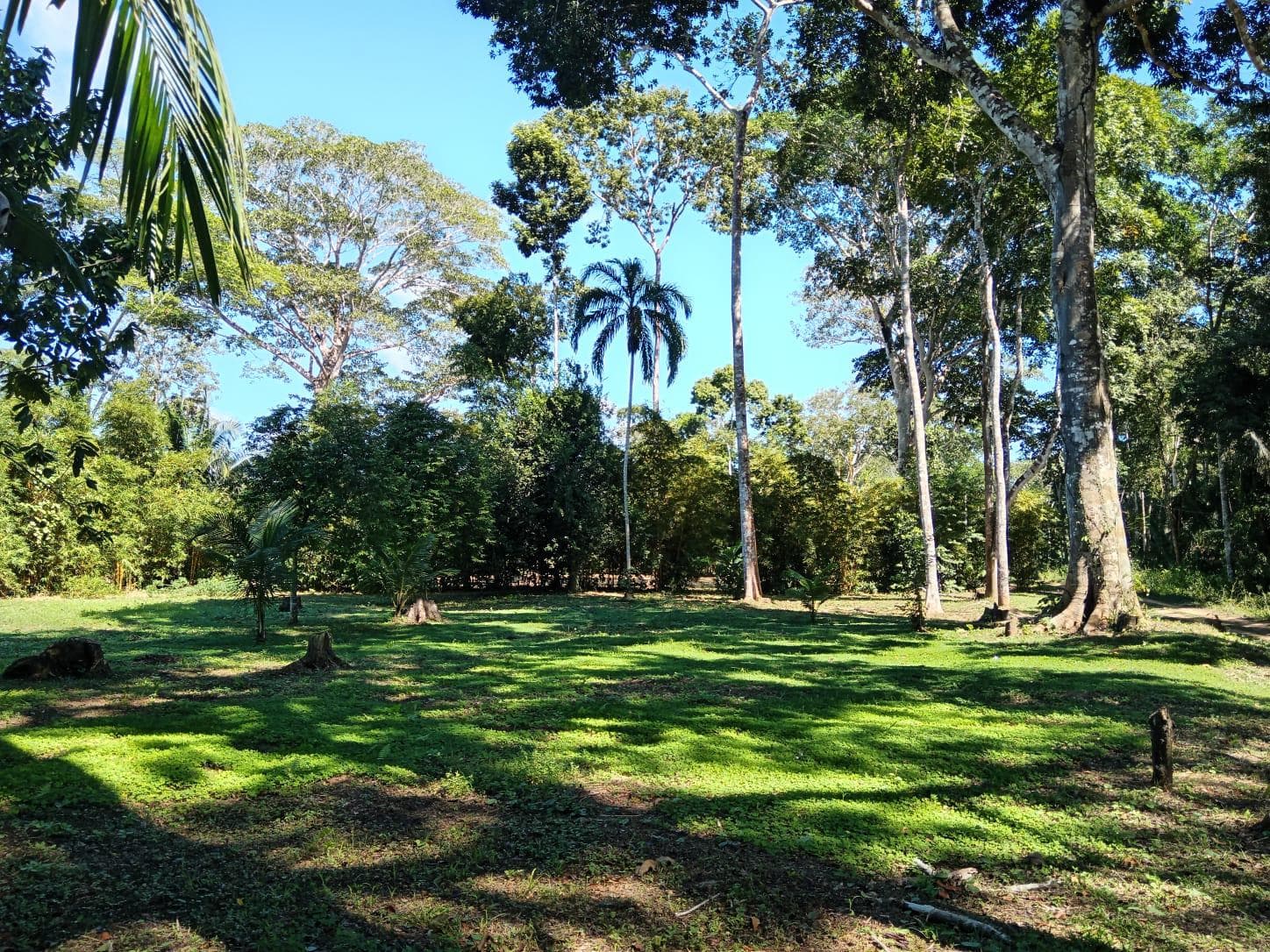 Terreno en Venta en Puerto Maldonado - 1