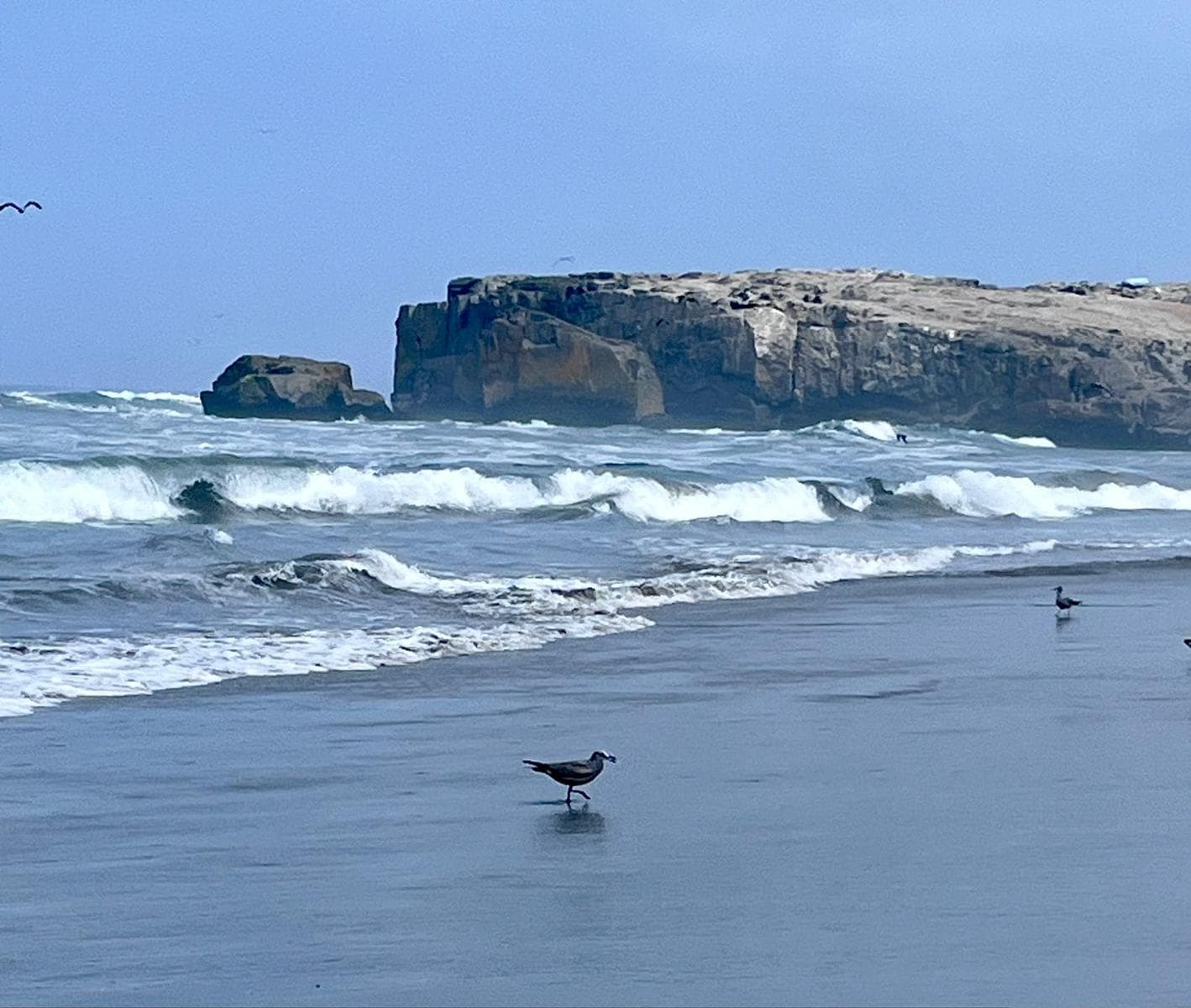 Alquiler Casa de playa en Lobos Km 127 Panam Sur a 1 cdra del Malecón - 2