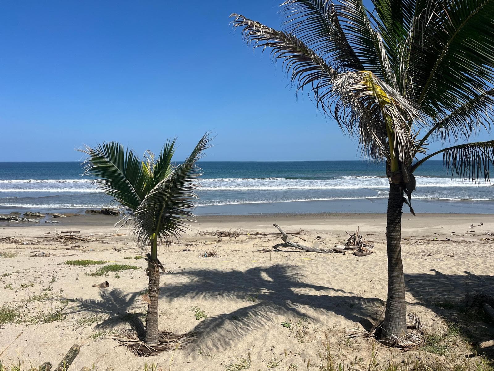 Vendo Terreno Frente a Mar en Playa Plateritos, Canoas de Punta Sal, Tumbes - 1