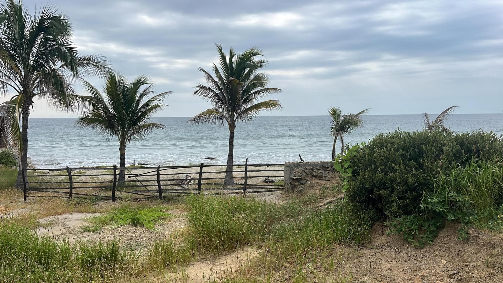 Vendo Terreno Frente a Mar en Playa Plateritos, Canoas de Punta Sal, Tumbes - 2