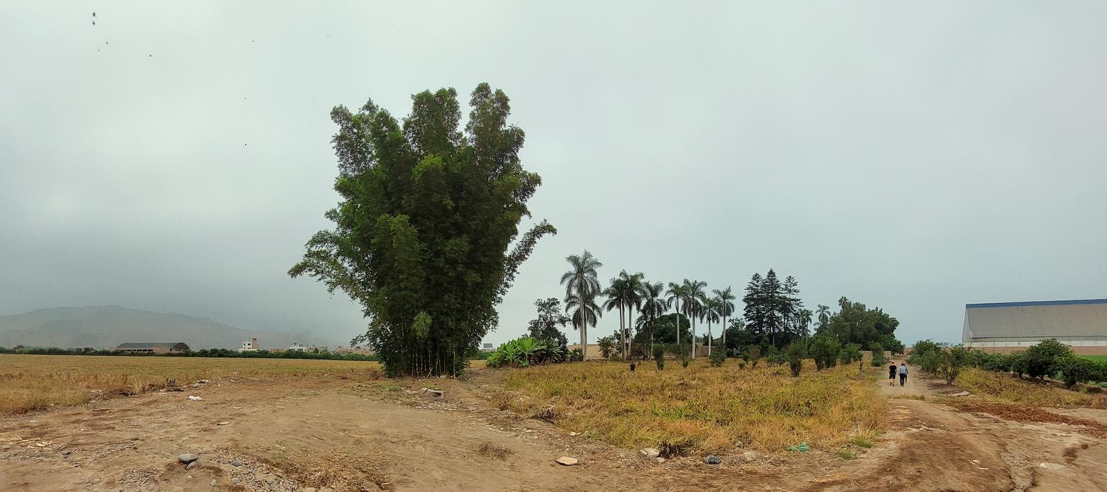 Estratégico Terreno en Chancay cerca al Mega Puerto de Chancay - 1
