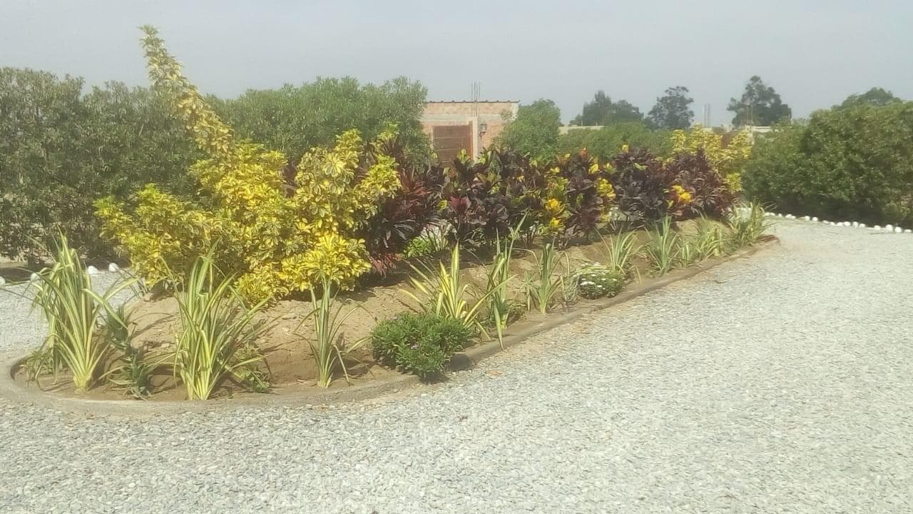 Terreno en Venta en Condominio LA ROMANA, El Carmen, Chincha, Ica - 1