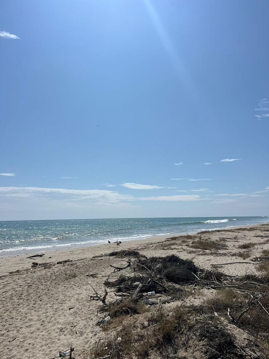 Vendo Terreno Frente a Mar en Playa Redonda, Punta Sal, Tumbes (Titulo de Propiedad) - 2