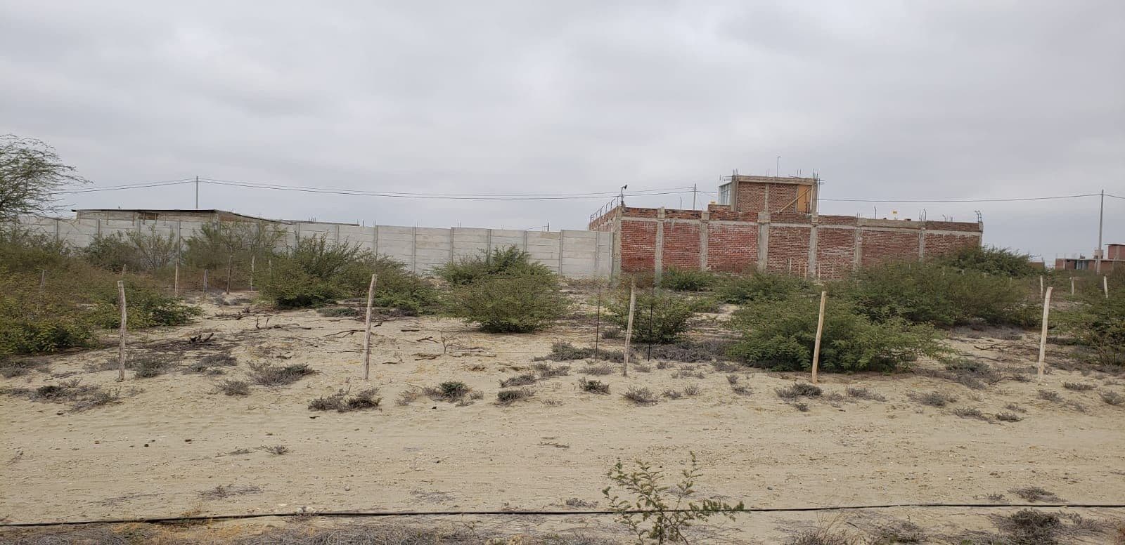 Terreno en venta urbanizado en Piura - 2