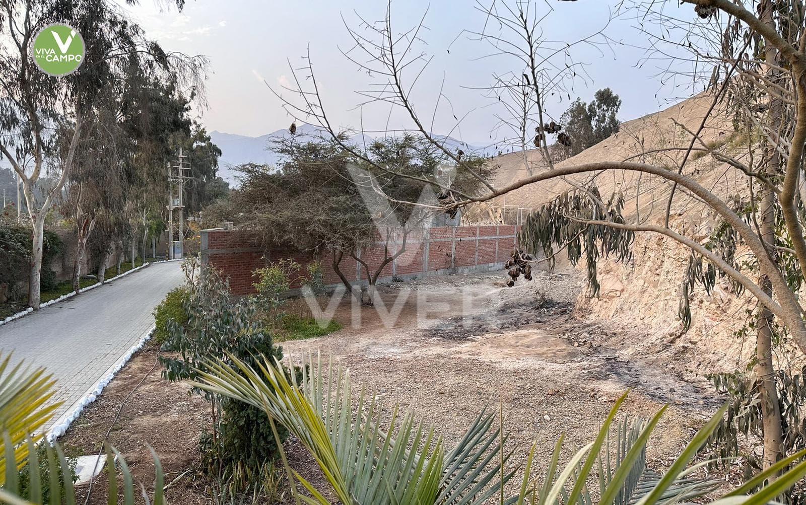 Lote en Venta – 625 m² con Servicios Básicos y Seguridad en Cieneguilla - 2