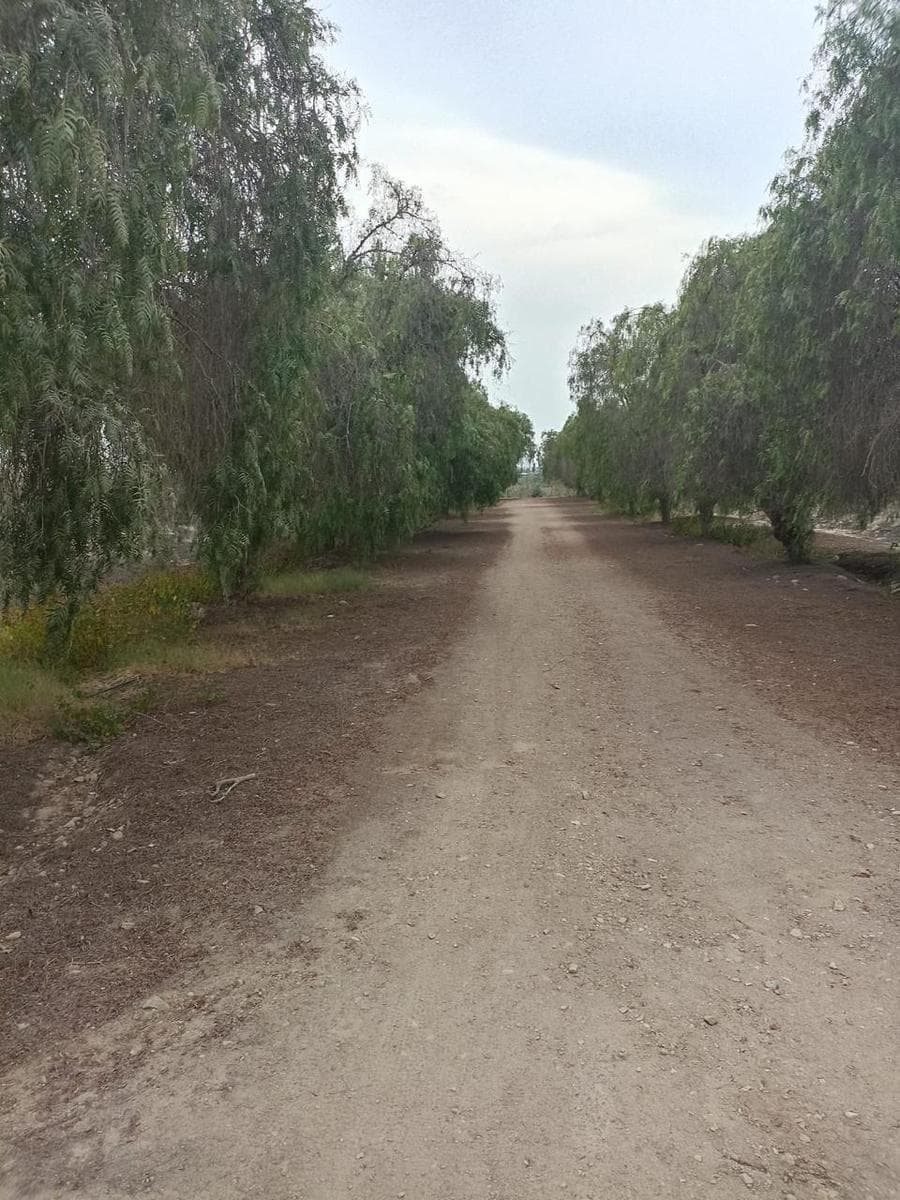 Se Vende Terreno de 4.6 Hectáreas $13 xm2 en Chincha independizado - 2