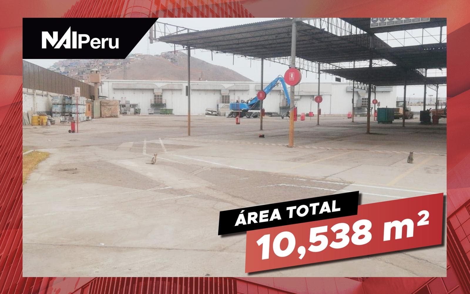 Local Industrial en alquiler - San Martin de Porres - 1